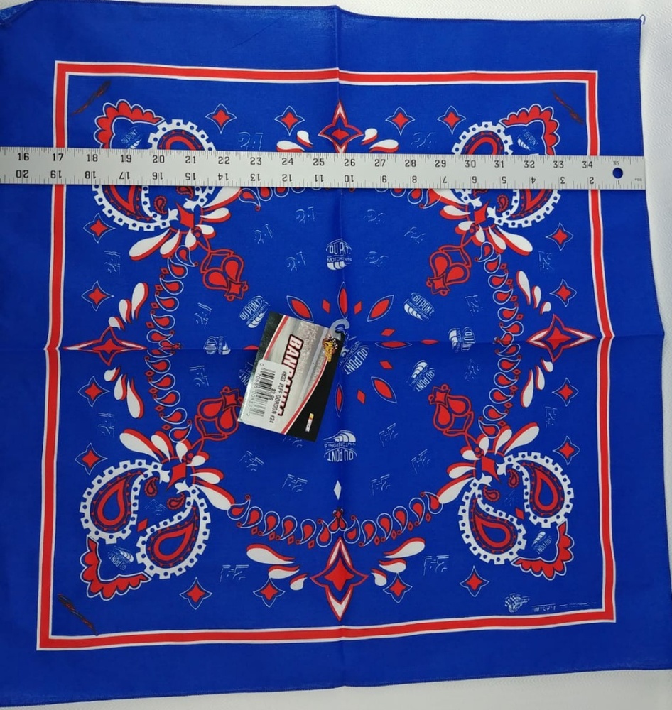 Winner's Circle Jeff Gordon Bandanna Nascar